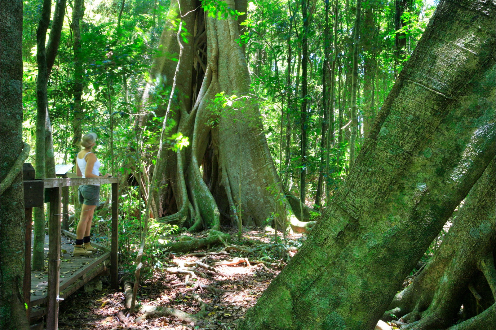 Reesville QLD Attractions Brisbane