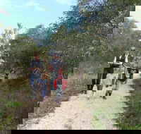 Meningie Lions Walking Trail - Attractions Brisbane