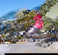 Millicent Skatepark - Attractions Brisbane