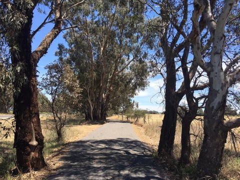 Mokoan Discovery Trail - Attractions Brisbane 1