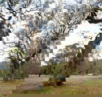 Moolarben Picnic Area - Attractions Brisbane