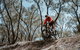 Mountain Bike Trails Deniliquin - thumb 0