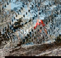 Mountain Bike Trails Deniliquin - Attractions Brisbane
