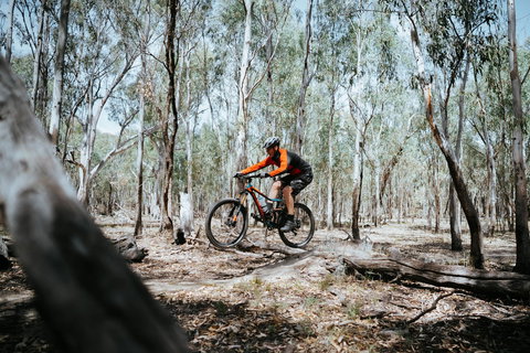 Mountain Bike Trails Deniliquin - Attractions Brisbane 2