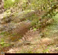 Mount Carnarvon Walking Track - Attractions Brisbane