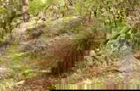 Mount Carnarvon Walking Track