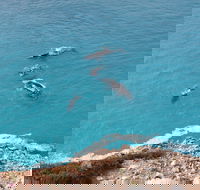 Nullarbor National Park - Attractions Brisbane