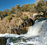 Oxley Walking Track - Attractions Brisbane