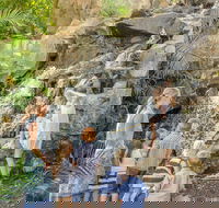 Queens Park Waterfall - Attractions Brisbane