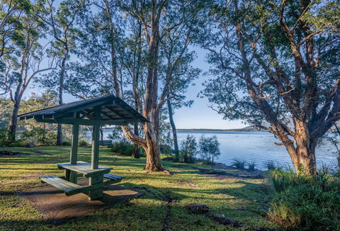 Queens Lake Picnic Area - Attractions Brisbane 0