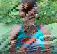 Ricardoes Tomatoes and Strawberries Farm Port Macquarie - Attractions Brisbane