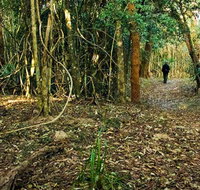Sand track walk north - Attractions Brisbane