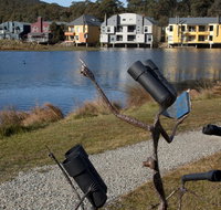 Sculpture Trail at Lake Crackenback Resort and Spa - Attractions Brisbane