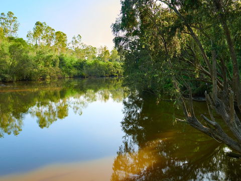 Shapcott Park - Attractions Brisbane 1