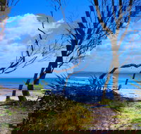 Shark Bay - Attractions Brisbane