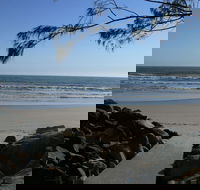 Shark Bay - Attractions Brisbane