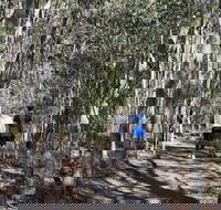 Six Mile Creek Bluff Lookout and Little White Rock Trails - Attractions Brisbane