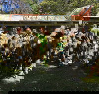 Skirmish Ulladulla - Attractions Brisbane