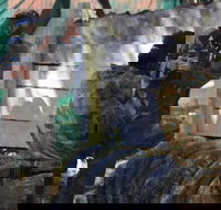 Skirmish Sunshine Coast Outdoor Paintball - Attractions Brisbane