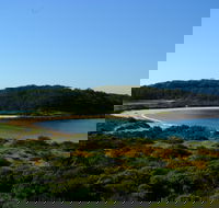 Snorkelling Broulee Island - Attractions Brisbane