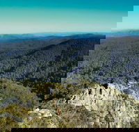 Tapin Tops National Park - Attractions Brisbane