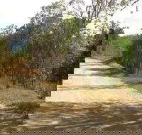 The Bloomfield Track - Attractions Brisbane