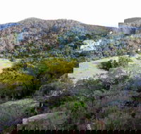 The Bellbird - Attractions Brisbane