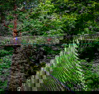 Thunderbird Park  - Tamborine Mountain Gold Coast Region - Attractions Brisbane