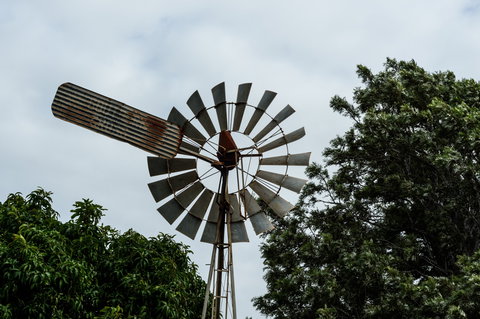 Tinaberries - Attractions Brisbane 0