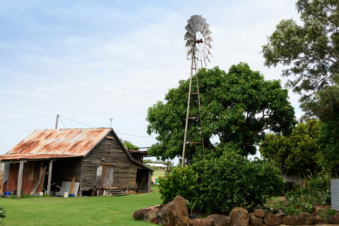 Tinaberries - Attractions Brisbane 1