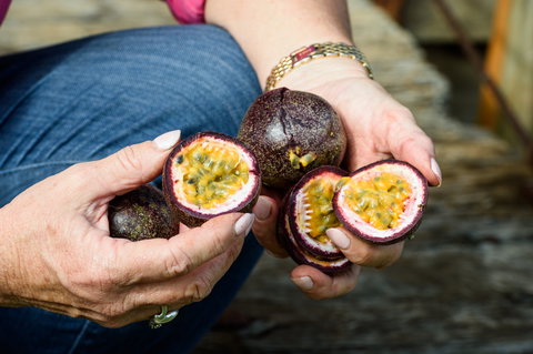 Tinaberries - Attractions Brisbane 2