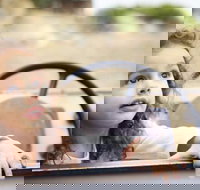 Toddler Thursdays at Werribee Open Range Zoo - Attractions Brisbane