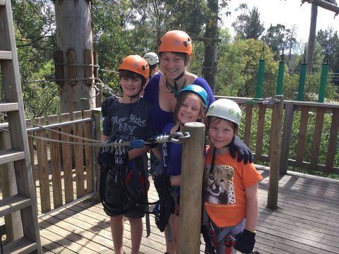 Trees Adventure - Glen Harrow Park - Attractions Brisbane 1