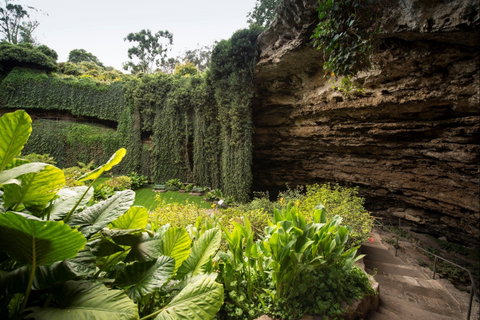Umpherston Sinkhole - Attractions Brisbane 1