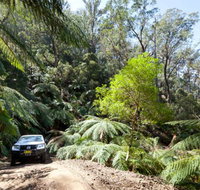Wadbilliga Road drive - Attractions Brisbane