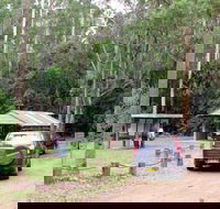 Wallingat Forest Drive - Attractions Brisbane