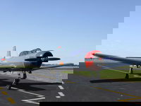 Warrior Warbirds - Open