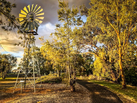 Windmill Walk - Attractions Brisbane 1