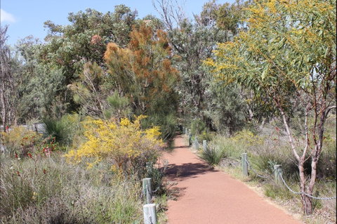 Wireless Hill Park - Attractions Brisbane 1