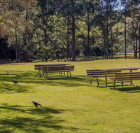 Wombeyan picnic area - Attractions Brisbane