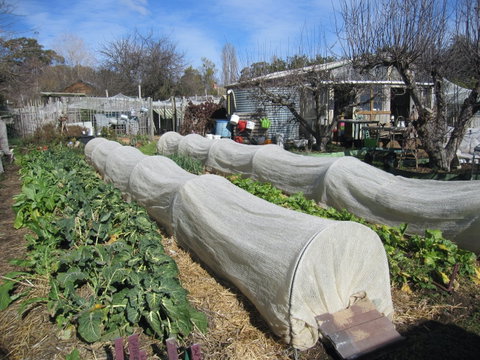 Wynlen House: Tour A Unique Urban Regenerative Farm And Market Garden - Attractions Brisbane 0
