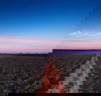 Yanga National Park - Attractions Brisbane