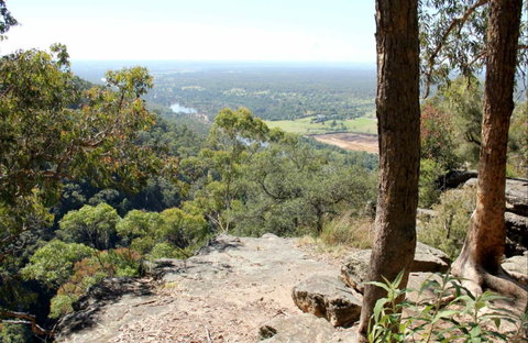 Yellow Rock Lookout - Attractions Brisbane 0