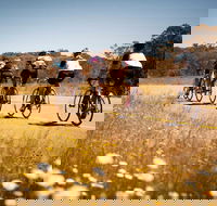 7 Peaks Ride - Dinner Plain - Attractions Brisbane