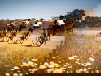 7 Peaks Ride - Dinner Plain