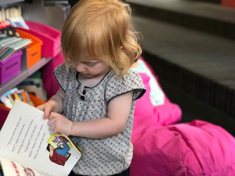 Albury Library Museum - Attractions Brisbane 2