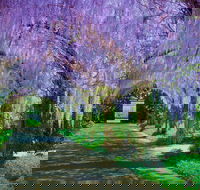 Alowyn Gardens and Nursery - Attractions Brisbane