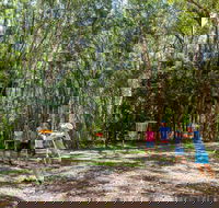 Ballina Disc Golf - Attractions Brisbane