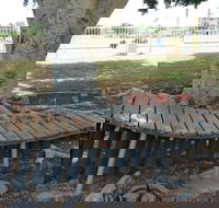 Barcaldine Musical Instruments - Attractions Brisbane