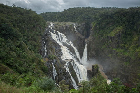 Barron Falls Lookout Track, Barron Gorge National Park - Attractions Brisbane 0